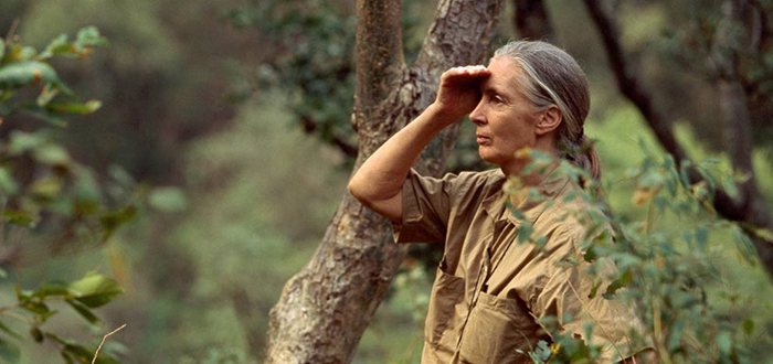 janegoodall