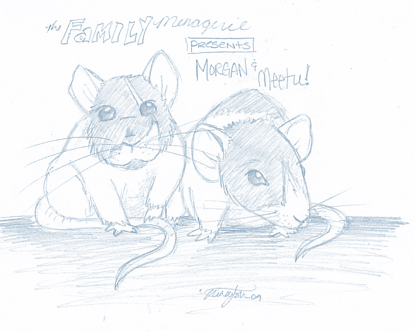 The Family Menagerie - Morgan and Meetu